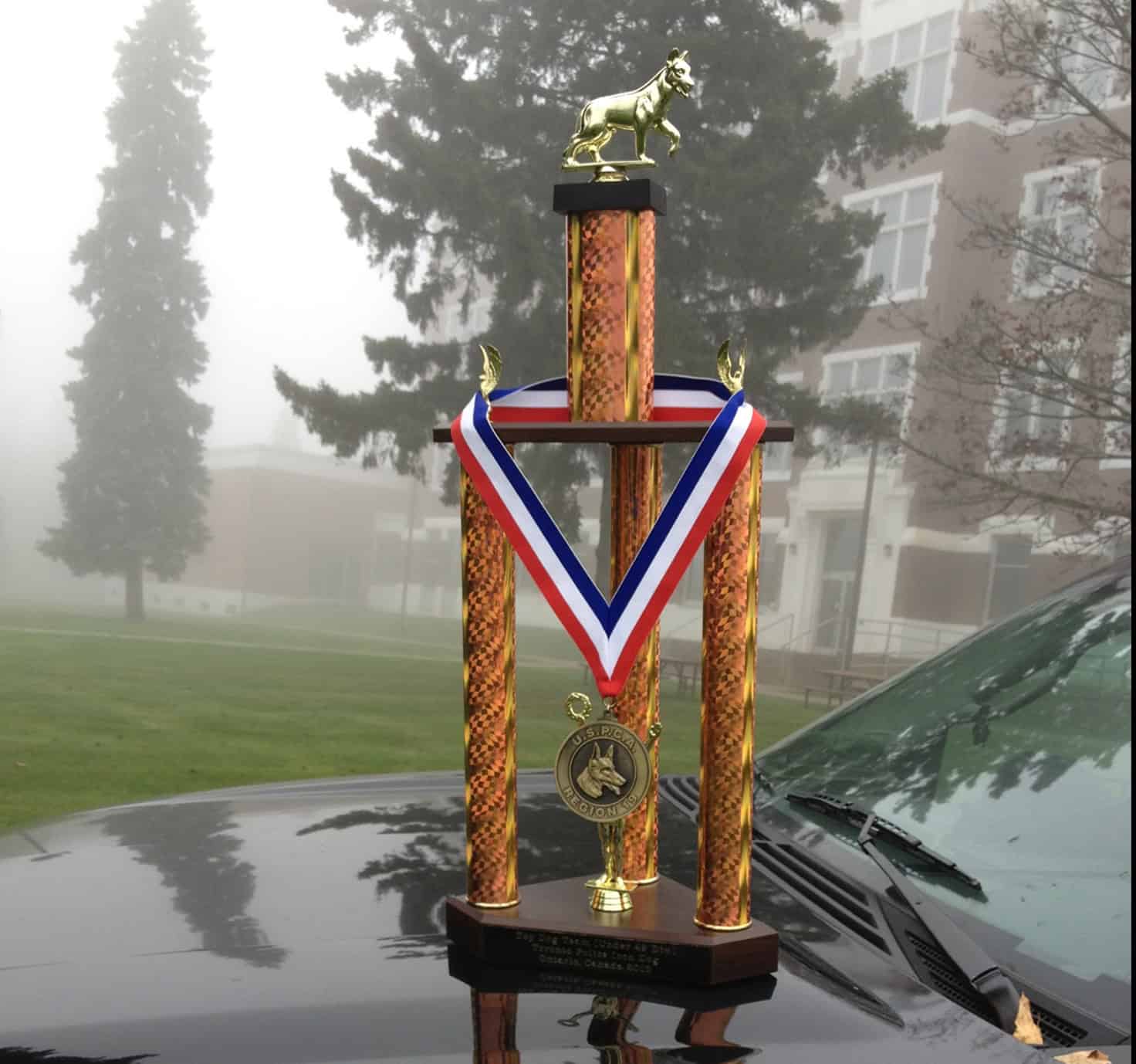 trophy